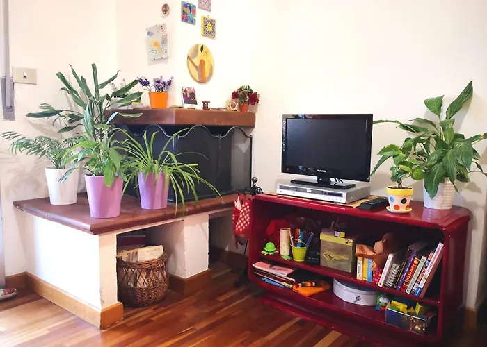 Virginia Sophia * Bologna